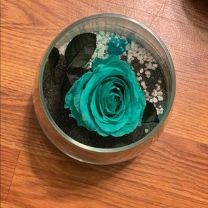 Meet your Posher, Du